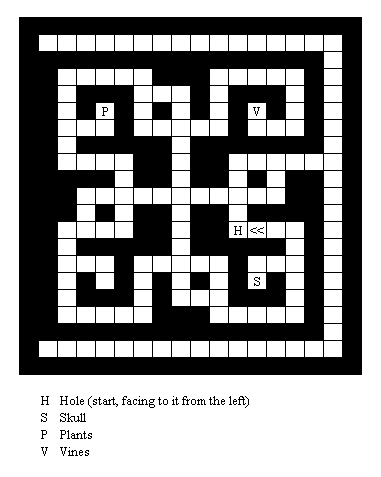 Map of the 'Hedge maze'.